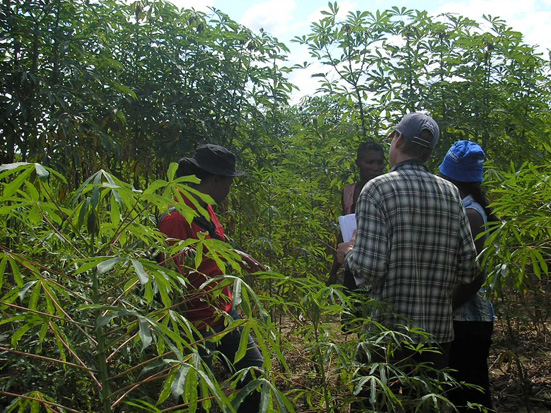 Interview of a farmer in a manioc field, Central Menabe, Madagascar. Journal MCD.