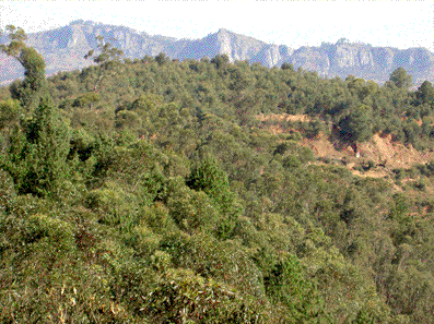 Evers 2012. Journal Madagascar Conservation & Development