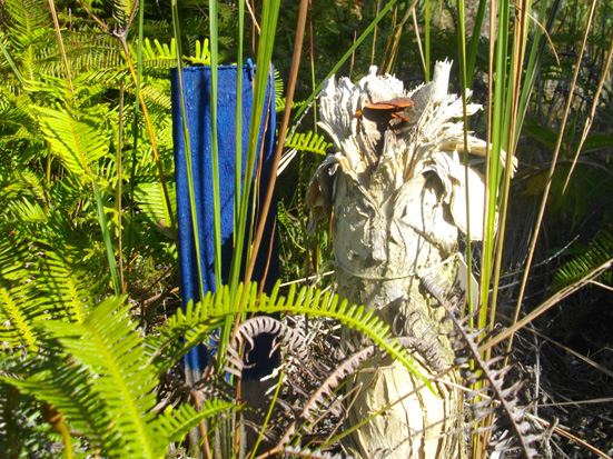 dead trunk of niaouli in Analalava forest; tronc mort de Melaleuca quinquenervia dans la forêt d'Analalava Foulpointe