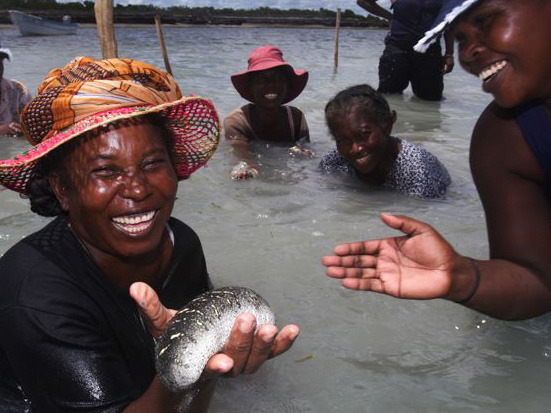 Women engaged in sea cucumber farming in Velondriake