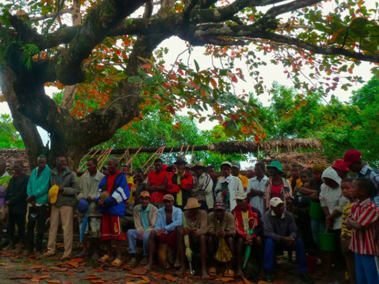 Ceremony of cult of the dead in the Analamaintsina forest, under a Terminalia cattapa (photo: Jeanne Lavialle); Madagascar Conservation & Development