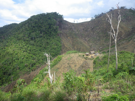 Slash and burn agriculture, a historical part of the Ampasindava Peninsula landscape