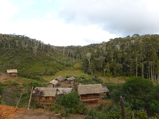 Fair and equitable conservation in Madagascar. Conservation de la nature juste et équitable à Madagascar. Credit O. Sarobidy Rakotonarivo