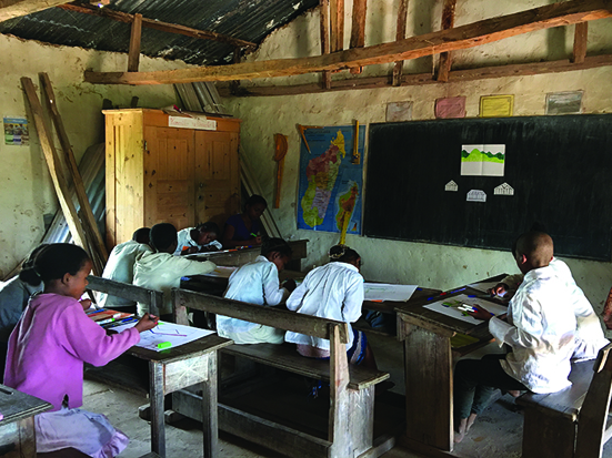 conservation and education: perspectives from education programmes in Madagascar
