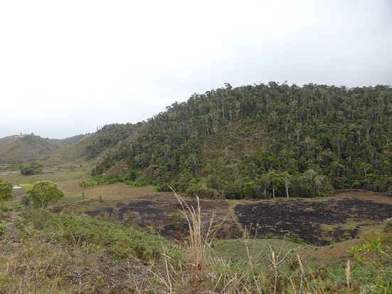 Restoration of forest landscape challenges in the eastern part of Madagascar, Source: Forest4Climate&People, October 2020
