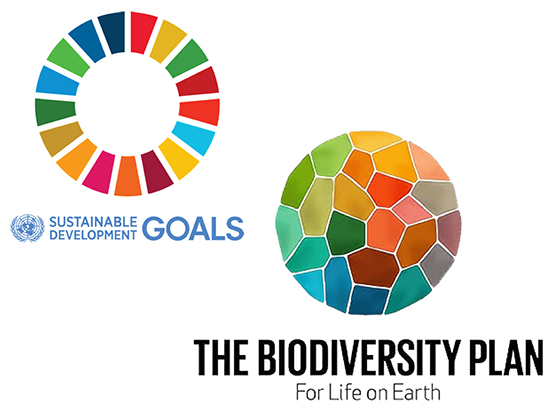 Sustainable Developments Goals | The Kumming-Montreal Global Biodiversity Framework